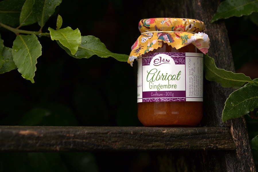 Confiture d'abricot gingembre 300g Espace pro Elan Jardin