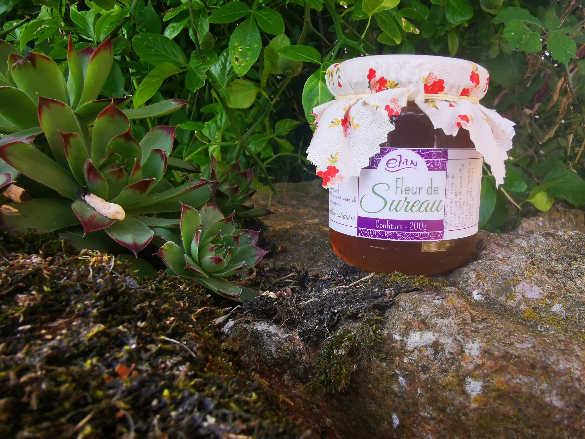 Gelée de fleurs de sureau - 200g - Espace pro : Elan Jardin